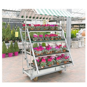 Wholesale Mobile Plant Storage Dutch Flower Trolley Carts with Wheels